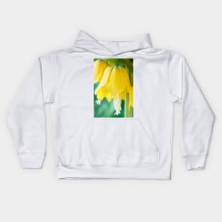 Fritillaria imperialis  &#39;Maxima Lutea&#39;  AGM  Crown imperia Kids Hoodie